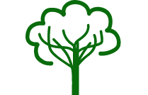 tree_1